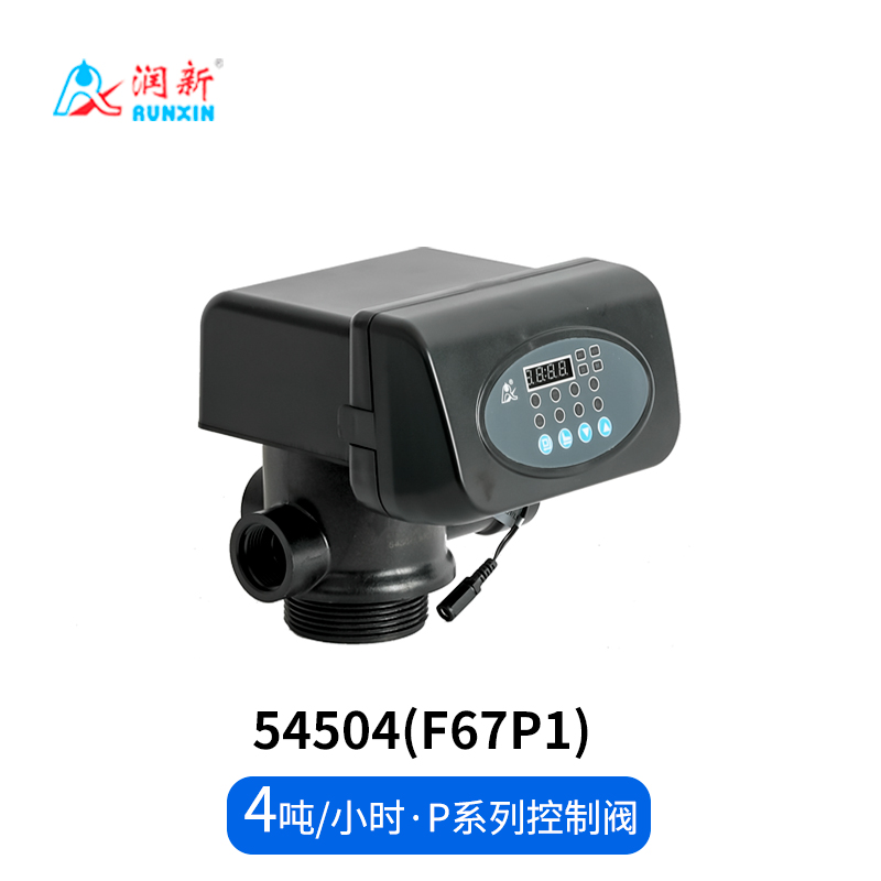 P系列過濾閥54504(F67P1)